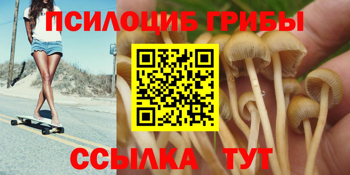Чехов  Псилоцибиновые грибы Cubensis  Вход с VPN 